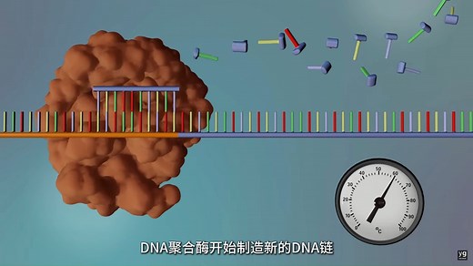 动画详细演示：DNA测序怎么做？