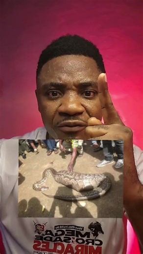 The python that has been swallowing your finances must vomit tonight. 🐍🔥💯🙏 | Prophet Elvis Kernyuy