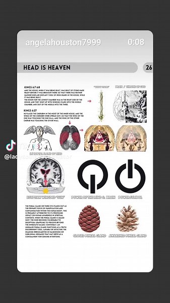 LadySoul💃🏿Cultivator (@ladysoulakacultivator)’s videos with original sound - LadySoul💃🏿Cultivator