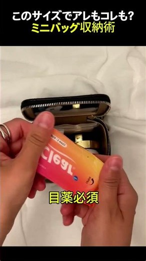 小さすぎるシャネルバッグ、その驚きの収納力とは