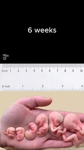 138K views · 438 reactions | Baby development week by week | Rabiya | Facebook