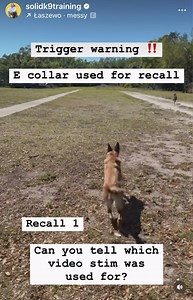 When teaching your dog recall, it’s SO important that you teach them how to recall while in drive. This usually comes at the very end stages of your training. Quinn the Malinois is with us for being a “selective listener” with her recall. She will sometimes blow off recall with her owner which has led to her owner being hesitant to take her off leash hiking. Understandably so. But Quinn is a high drive dog and we want her to be able to enjoy the freedom of being off leash. So how do you resolve 