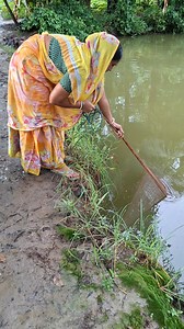 Beautiful Girl Catching big Java Barb and Tilapia Fish with Net in a Ditch full of Water. | True Fishing BD