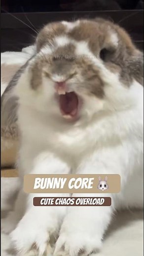 Bunny Core 🐰 | The Cutest Chaos You’ll See Today | Pt. 03