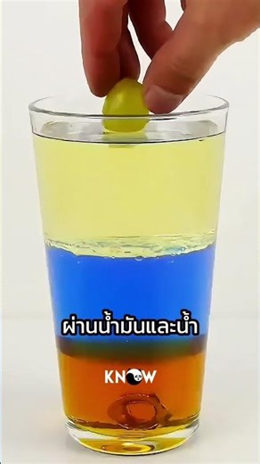 A proof of the density of liquids!