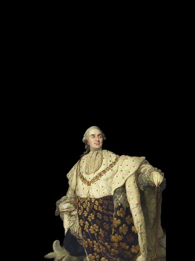 Understanding Robespierre's Role in the French Revolution