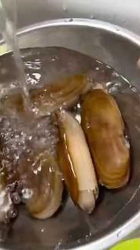 Catch clean cook razor clams