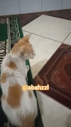 Doa Pengampun Dosa #shorts