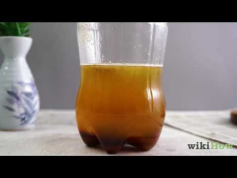 How to Make a Plastic Bottle Mosquito Trap