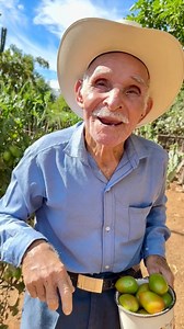 Tipos de estiércol 🐮🐷🐔 | Hector Reyes