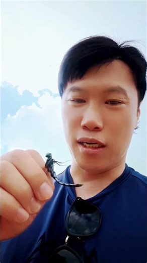 Here is how you should catch a dragonfly