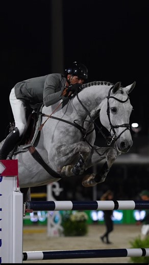 Exciting Show Jumping in Wellington: Just Days Away!