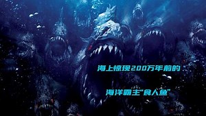 《食人鱼3d》完整版丨200万年前的海洋霸主食人鱼竟出现在了现代海滩上