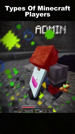 Types Of Minecraft Players #minecraft #shorts