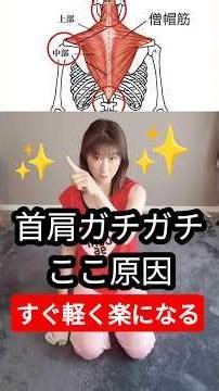 肩こりの原因になりやすい僧帽筋をほぐして、首や肩の重だるさを改善するセルフケアをご紹介します#健康運動指導士 健康運動指導士 #肩こり改善 #肩こり #僧帽筋 #セルフケア #肩甲骨 #首こり