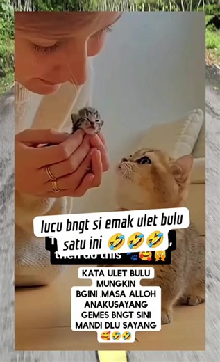 ki genter pamungkas putra (@kuswantoro685)’s videos with suara asli - ki genter pamungkas putra