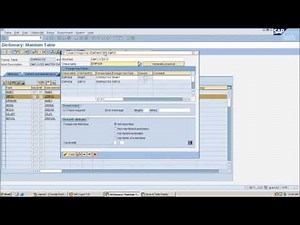 foreign key relationship in sap abap.wmv