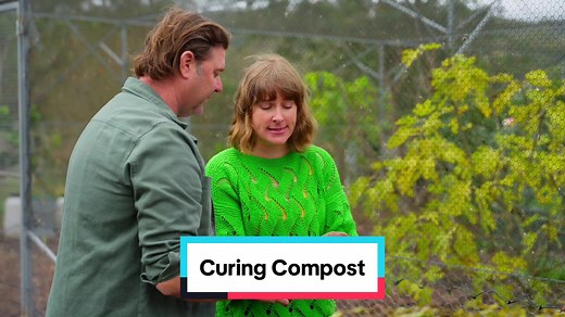 Mastering Composting: Curing Techniques for Healthy Soil