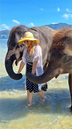 Epic Ocean Walk with Giant Elephants 🌊🐘 | Stunning Wildlife Short #shorts #Elephants #summer
