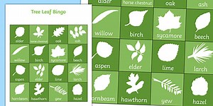 Tree Leaf Bingo