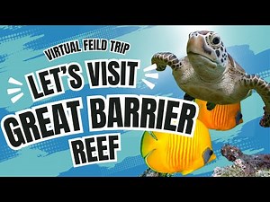 Great Barrier Reef - Virtual Field Trip