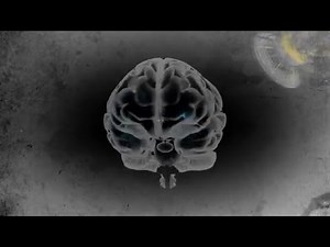 ZAKAOS Exposes FREE MASONRY AND WOMEN AND CHILDREN STALKER KILLER WITCHES