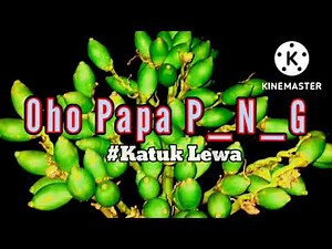 Lagu PNG mama papa 🌴🇵🇬