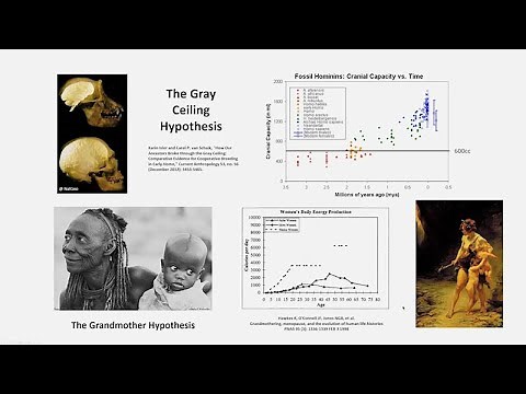 CARTA: How Humans Evolved the Capacity to Change the Entire Planet with Leslie Aiello