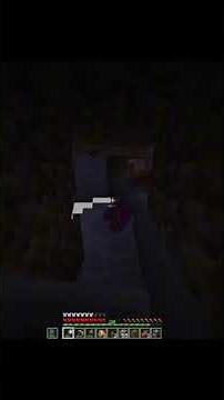 HydroWing vs Enderman #doctorwho #minecraft #dalekmod