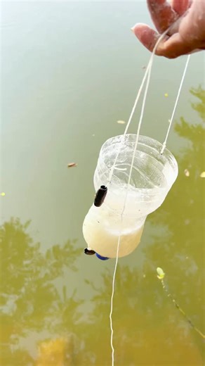 90s Kids Experiments on Instagram: "Bottle Fish hunting 😱 #teluguexperiments"