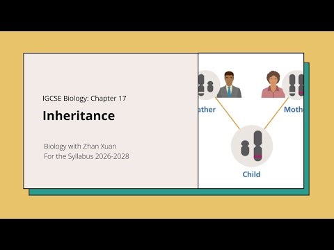 IGCSE Biology - Chapter 17 | Inheritance