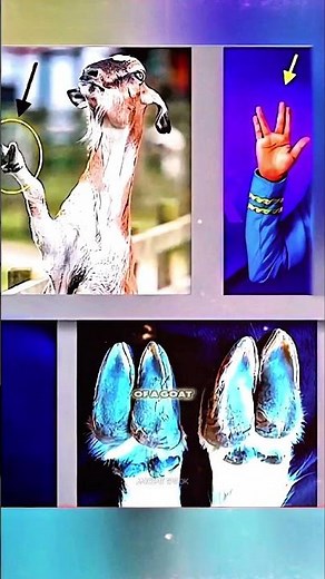 The Strange Origin of the Vulcan Salute | Jordan Maxwell