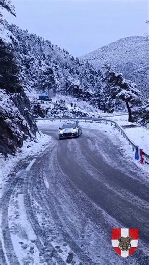 Ford Puma M-Sport Rally Monte Carlo ❄️❄️ #wrcmontecarlo #rally #automobile #car #wrc
