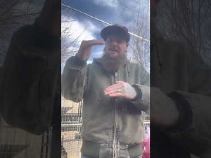 No bobcat hybrids to date