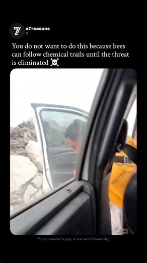 a7reasons | DID YOU KNOW Bees Attack Dark Colors First 🐝⚠️ - Wearing black or dark clothing near a bee hive can actually make you a bigger target—and... | Instagram