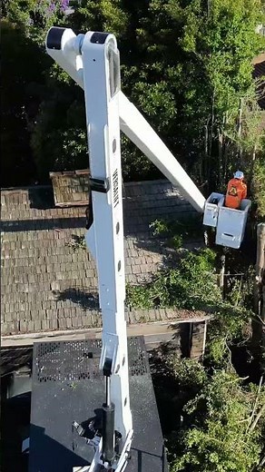 PACIFIC LANDCSAPING & TREE SERVICE INC