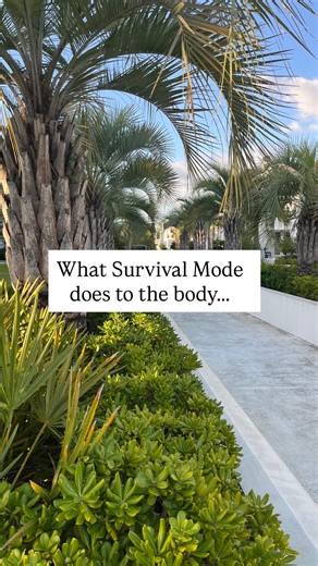 31 reactions · 4 comments | ♥️Use Code “AspenR100” for $100♥️ Link is in my bio for more info! #functionpartner #traumarecovery #traumaresponse #traumarelease #healingtrauma #traumahealingjourney #somatichealing #childhoodtrauma #survivalmode #immunesystembooster #immunehealth #immuneboost #autoimmunity #traumasurvivor #narcissisticabuse #healingtools #traumainformedcare | August Knox Coaching | Facebook