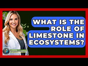 What Is The Role Of Limestone In Ecosystems? - Earth Science Answers