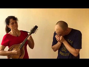 Bluegrass Harmonica - Cluck old Hen - Powerbender harmonica