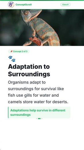 The Living Organisms and Their Surroundings, Class 6 Science | Chapter 9 | Class 6 Biology | NCERT |