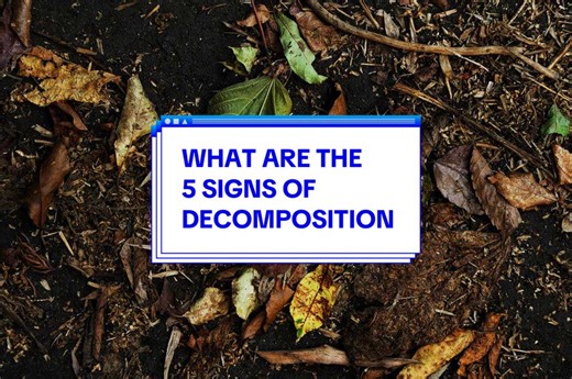 5 Signs of Decomposition Explained for Morticians