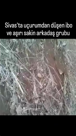 Sivas Sende on Instagram: "Aşırı sakin arkadaşları uçurumdan düşen İbo'ya kayaya çarpıyordun diyeli 10 yıl oldu. #fyp #sivaslı #komikpaylasimlar #keşfet #sivas"