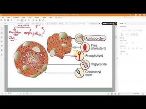 CVS Practical Biochemistry Lipid Profile