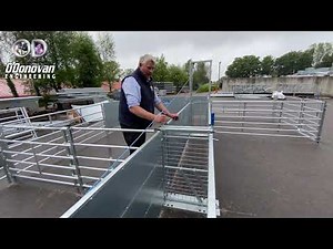 Fixed Sheep Yard With 2-Way Drafting