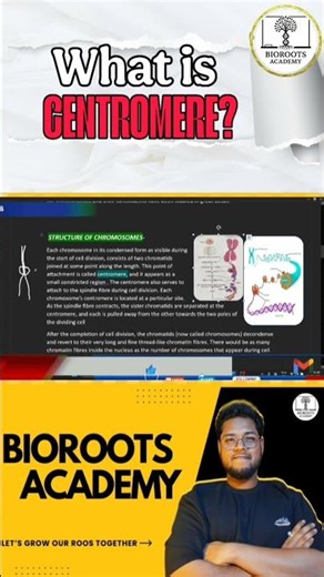 what is Centromere ? || structure of chromosomes || #biorootsacademy