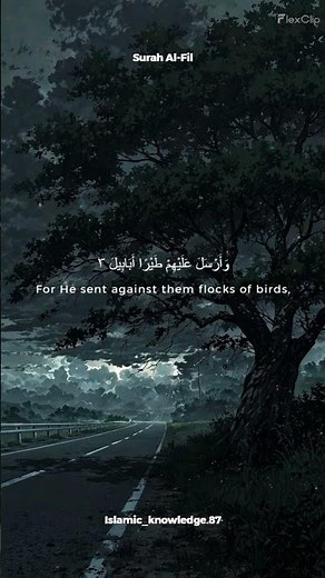 Surah Al-Fil | Short Yet Powerful Quran Recitation with English Translation