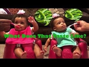 Cute BABIES First Time Eating Green Beans | Cute Baby Video - The Myles Twins