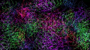 Networks, Abstract, Particles. Free Stock Video