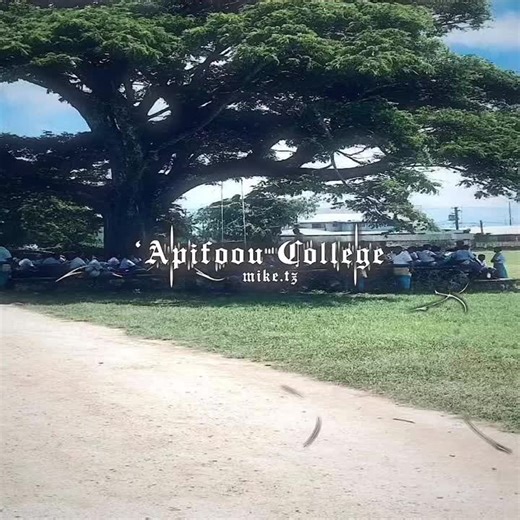 Apifo'ou College: Uncovering Its Unique Appeal