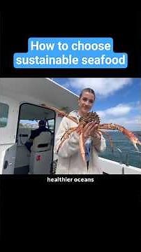 How to choose sustainable seafood and support healthier oceans